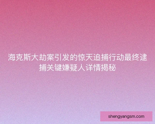 海克斯大劫案引发的惊天追捕行动最终逮捕关键嫌疑人详情揭秘