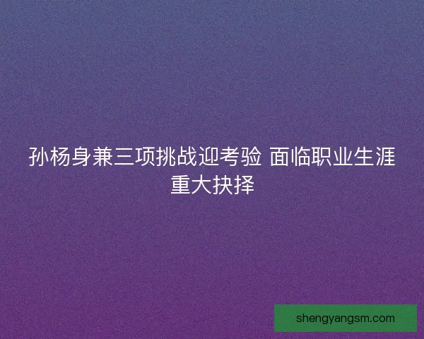 孙杨身兼三项挑战迎考验 面临职业生涯重大抉择 孙杨身兼三项挑战迎考验 面临职业生涯重大抉择