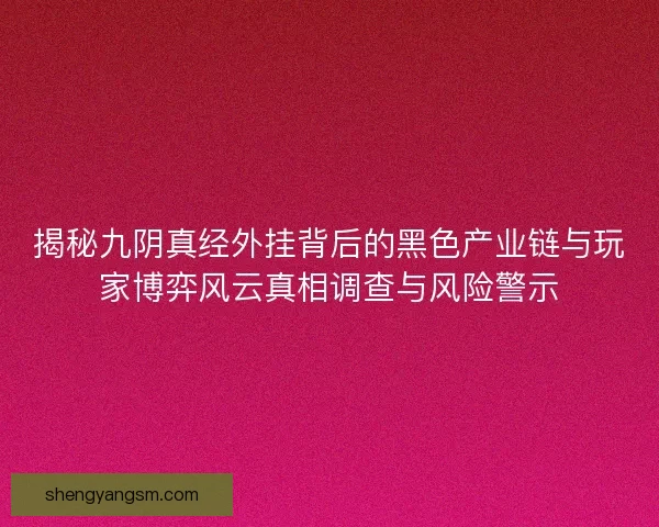 揭秘九阴真经外挂背后的黑色产业链与玩家博弈风云真相调查与风险警示