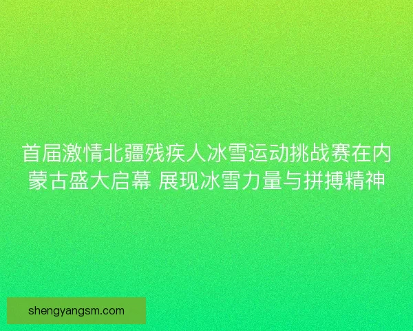 首届激情北疆残疾人冰雪运动挑战赛在内蒙古盛大启幕 展现冰雪力量与拼搏精神