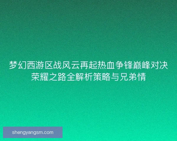 梦幻西游区战风云再起热血争锋巅峰对决荣耀之路全解析策略与兄弟情