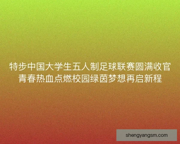 特步中国大学生五人制足球联赛圆满收官青春热血点燃校园绿茵梦想再启新程