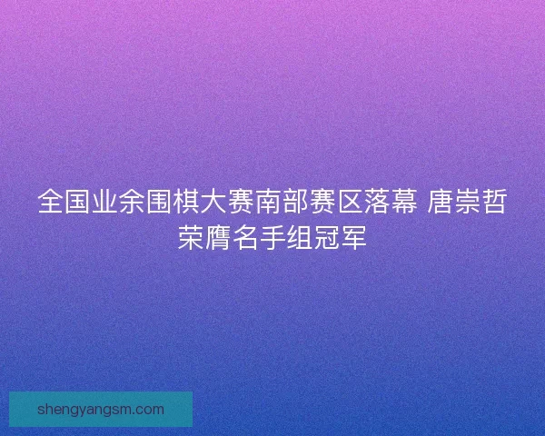 全国业余围棋大赛南部赛区落幕 唐崇哲荣膺名手组冠军