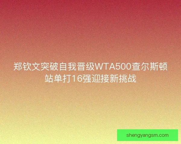 郑钦文突破自我晋级WTA500查尔斯顿站单打16强迎接新挑战 郑钦文突破自我晋级WTA500查尔斯顿站单打16强迎接新挑战