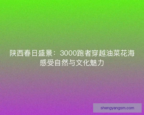 陕西春日盛景：3000跑者穿越油菜花海感受自然与文化魅力